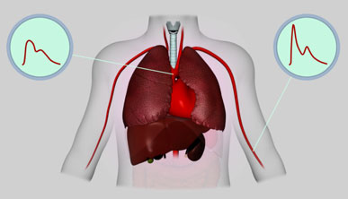 BP+ Central Blood Pressure Diagram